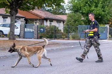 L'importance des maîtres-chiens en Haute-Vienne