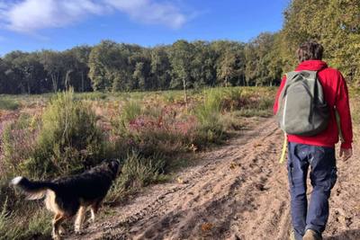 Randonnée solidaire pour animaux abandonnés près de Casteljaloux