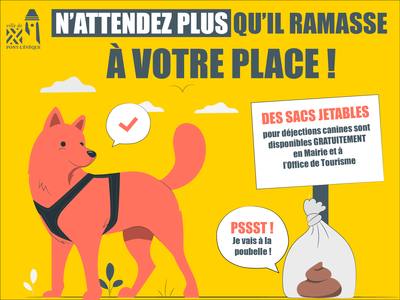 Civisme des maîtres et déjections canines