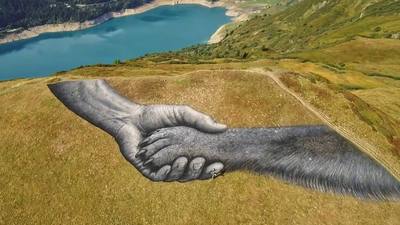 L'œuvre monumentale de Saype célèbre le lien chien-humain