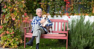 Les animaux de compagnie perçus comme des membres de la famille