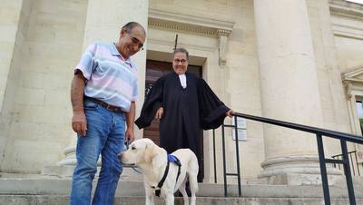 Première intervention de Venom, le labrador d'assistance judiciaire
