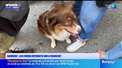 Garéoult : les chiens interdits sur le marché !