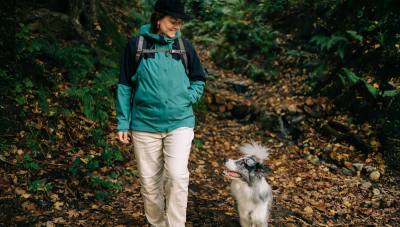 Faire revenir son chien : les clés d'un rappel efficace