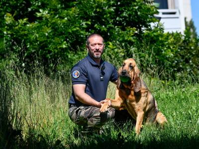 Le chien gendarme Drako décoré par le préfet