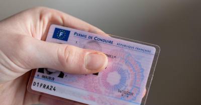 Suspension de permis sans conduite