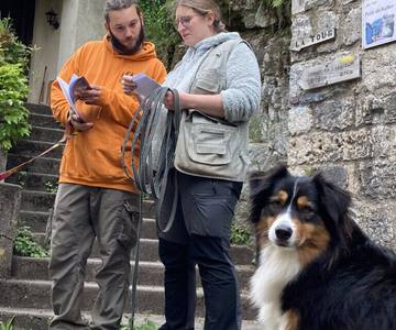 Jeu de piste canin pour retrouver un historien disparu